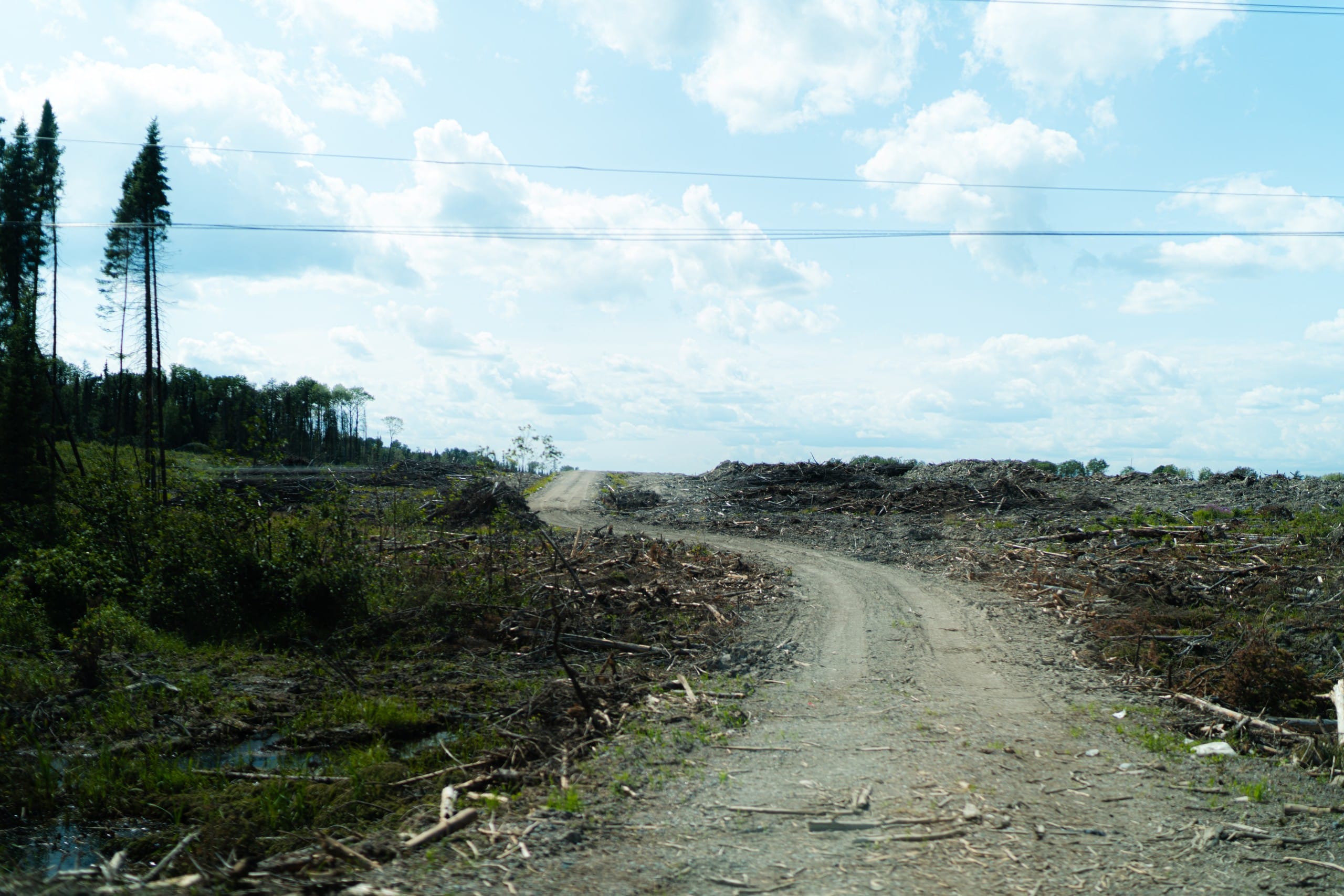 A logging route in Cree territory in northern Quebec.