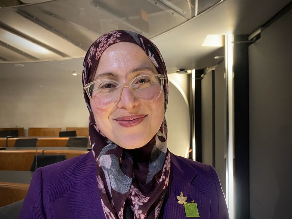 A woman is looking at the camera with a slight smile. She is wearing a hijab and glasses.